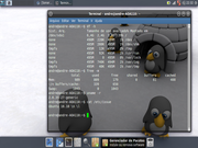 Xfce Xubuntu 10.10 